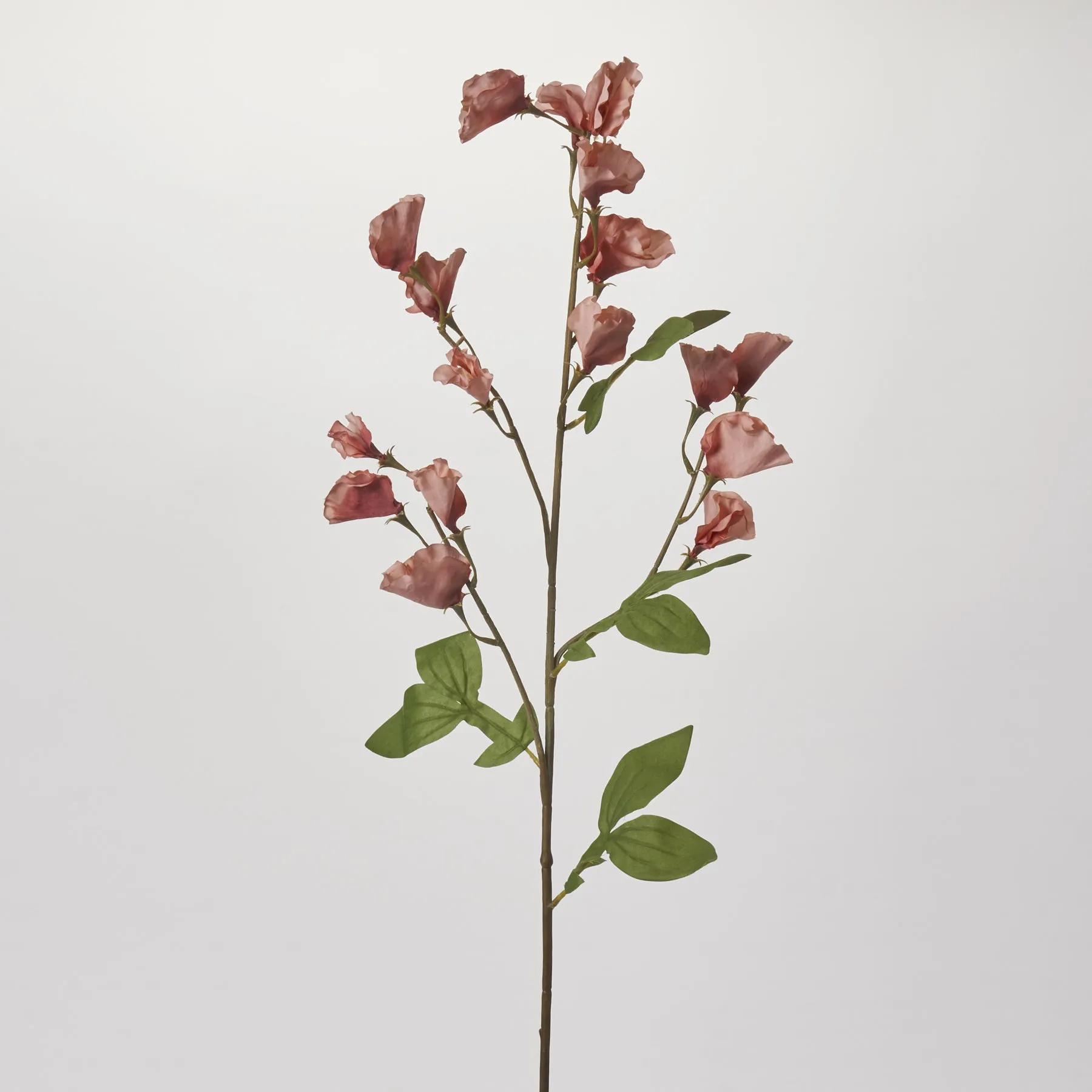 Blush Pink Faux Sweet Pea Branch Spray - 34"