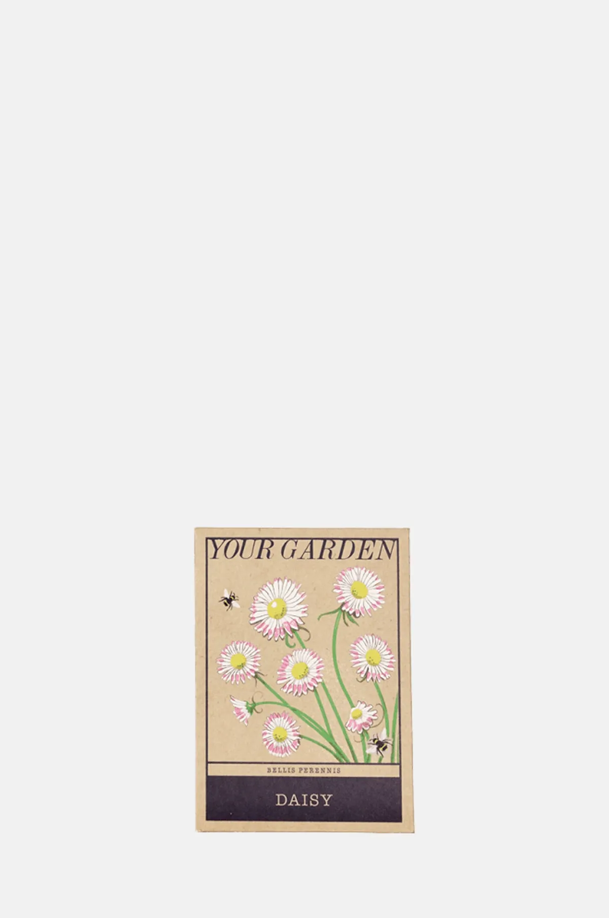 Daisy Seed Packet